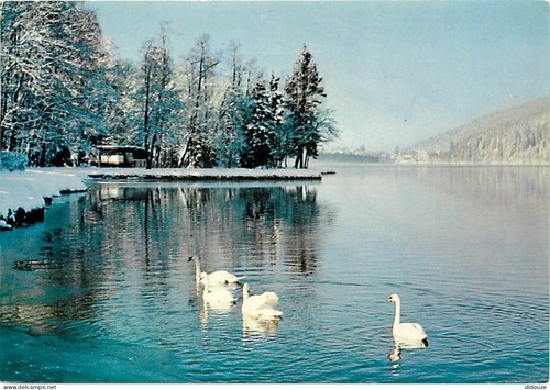 Carte postale - -,