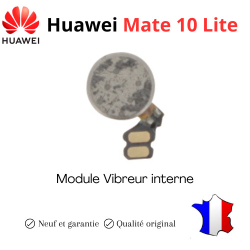 Module vibreur interne pour - module, interne,