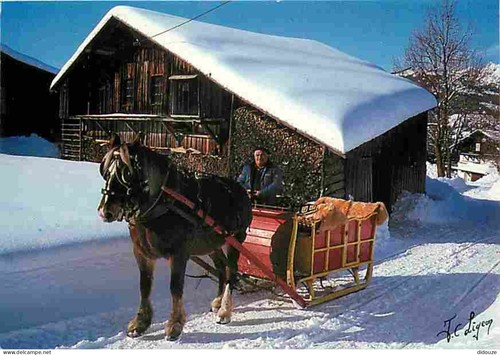 Carte postale animaux - carte,