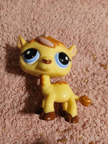 Petshop chevre cow - petshop,