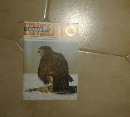 Homme oiseau 18e - l'homme, et