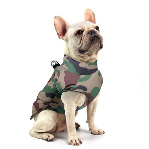 Manteau pour chien hiver - manteau,