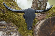 IN0306  TETE DE MORT SQUELETTE