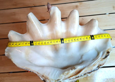 Art Populaire Rarissime