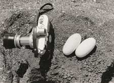 Christian Zuber (1930-2005) appareil photo Leica et oeufs , Galapagos  1961