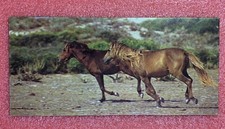 Carte MERVEILLES DU MONDE