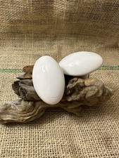 Paire de poignées de porte  en porcelaine blanche et laiton Style Vintage