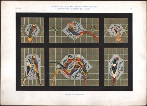 1910 lithographie oiseaux - lithographie,