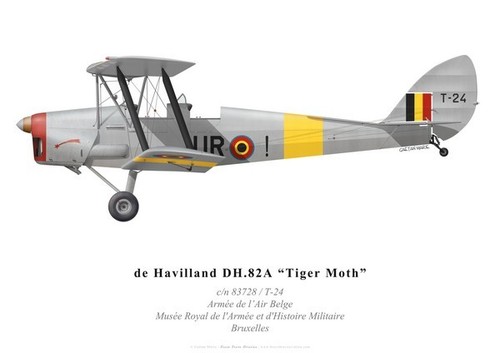 Tiger moth armée l - armée, de