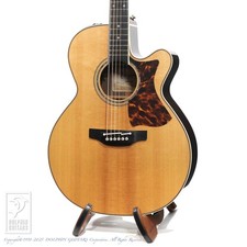 Takamine DMP50S