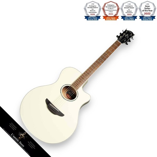 Guitare acoustique électrique