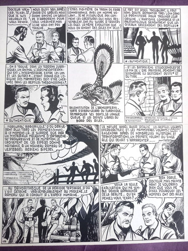 Planche originale raoul - originale,