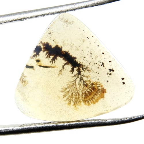 Pierre précieuse cabochon