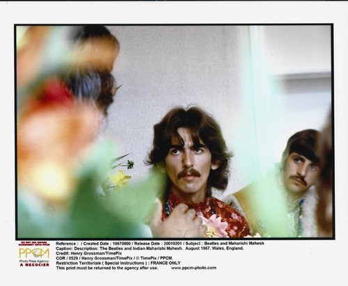 Rare photographie argentique - photographie,