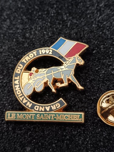 Pin pins - enamel, grand