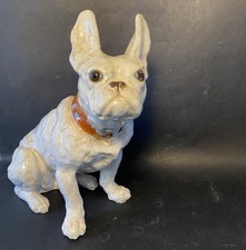 Bouledogue Français