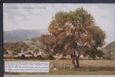 Ancienne Carte Postale