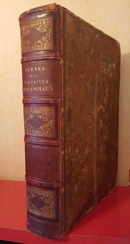 Scènes vie privée des - de,