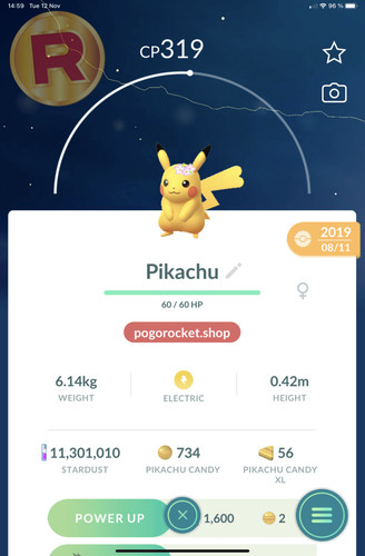 Pikachu flowers costume - pikachu,