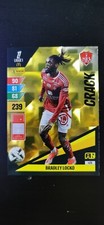 Carte PANINI Adrenalyn XL