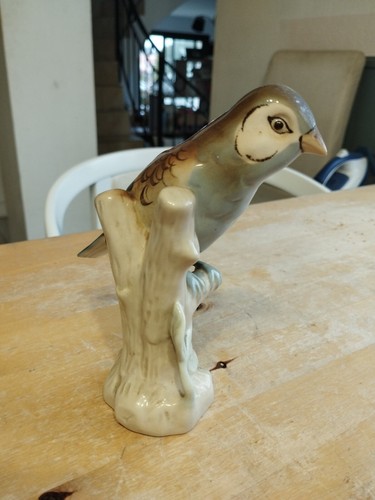 Oiseau porcelaine royal - oiseau, dux