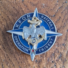 Insigne  3° RIMA KFOR BATFRA