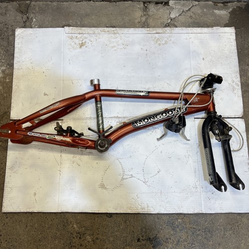 Old school mongoose - old,