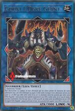 ♦Yu-Gi-Oh!♦ Gouki L'Ogre Géant (The Giant - LINK-4) : CYHO-FR039 -VF/Rare-