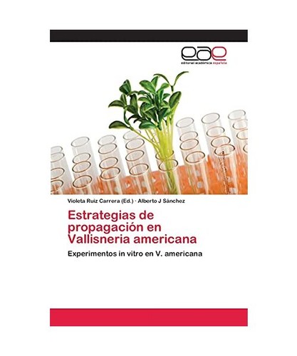 Estrategias propagación en - propagación,