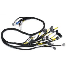 Budget Engine Harness Kit Fit