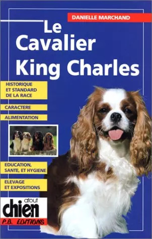 Cavalier king charles - le, charles,