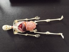 Jeu articulable réaliste