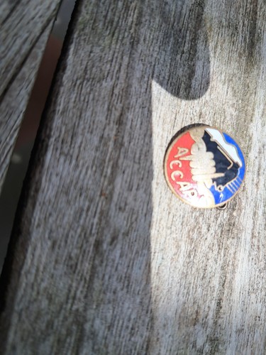 Insignede boutonnière accap - insignede,