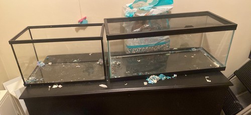 Aquariums - aquariums,