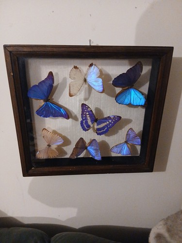 Cadre morpho - cadre, de