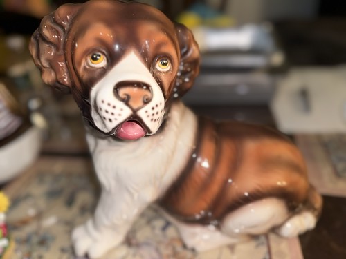 Vintage italian saint bernard - vintage,