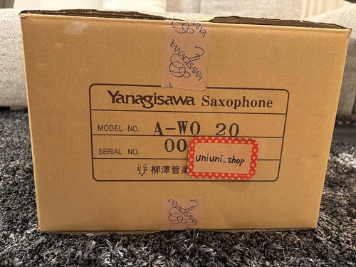 Saxophone alto professionnel