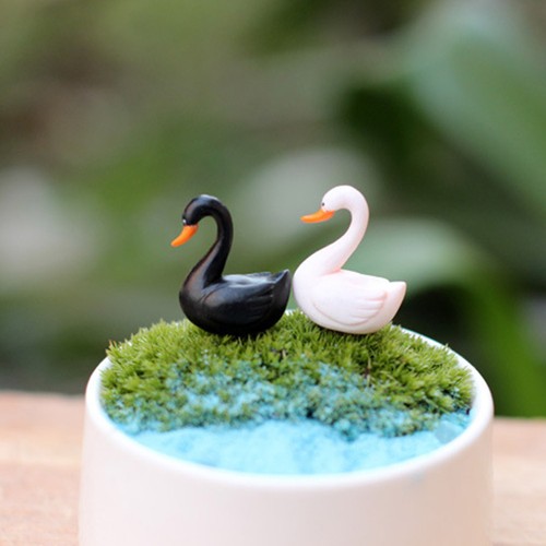 Pcs cygne miniature minie - 20,