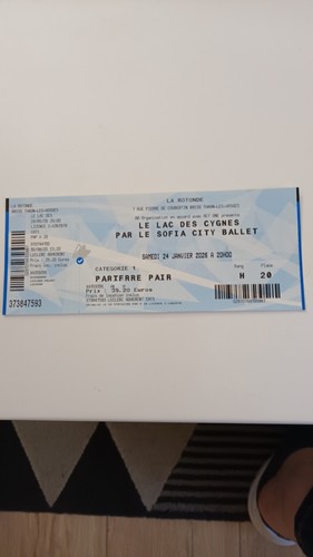 Billet spectacle lac des - spectacle,