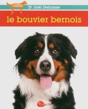 LE BOUVIER BERNOIS - JOEL