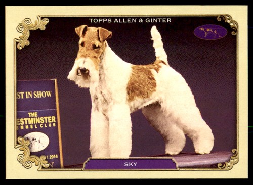 2024 topps allen ginter sky - 2024,