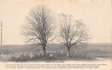 08-ILLY-N�LP5017-A/0115