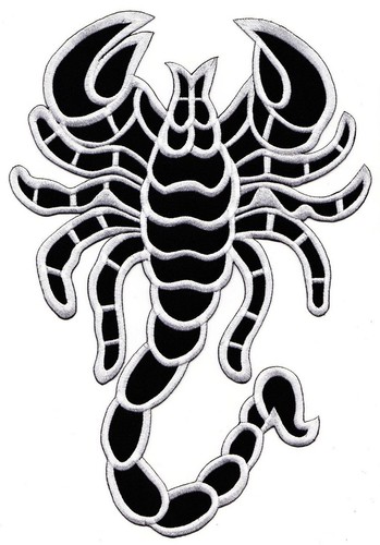 Scorpion death back - scorpion,