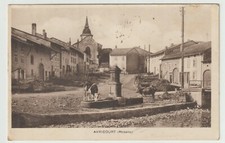 57 AVRICOURT CPA vache à