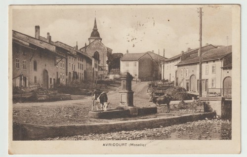 Avricourt cpa vache - cpa, à