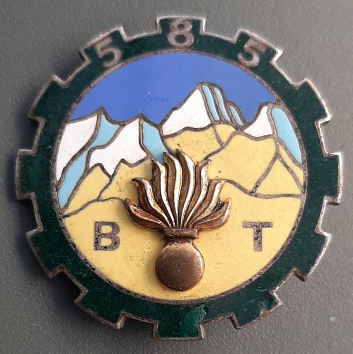 Insigne 585 bataillon - bt, du