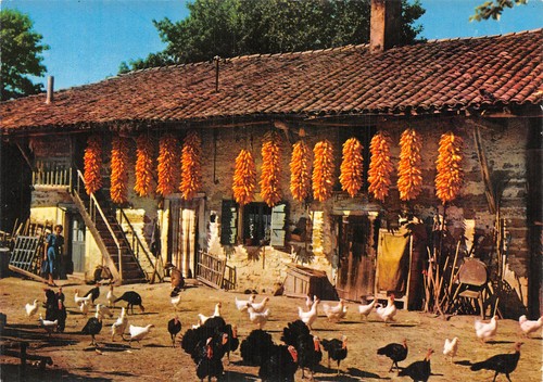 Ferme bressane - 01-ferme, bressane-n�