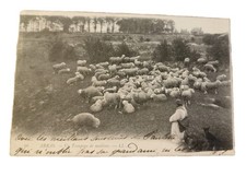 CPA 1903 - Arras