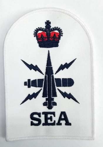 écusson qualification bleu - qualification,