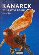 Kanarek w naszym domu KISIEL